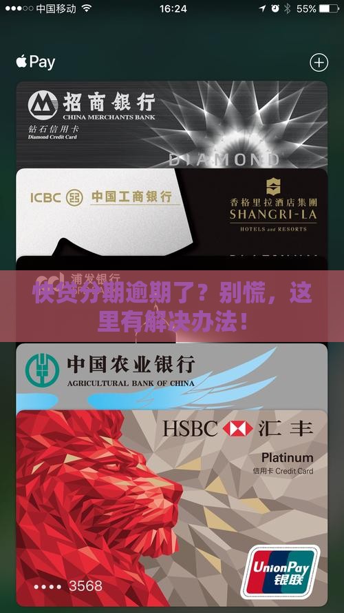 建设快贷分期逾期了怎么办