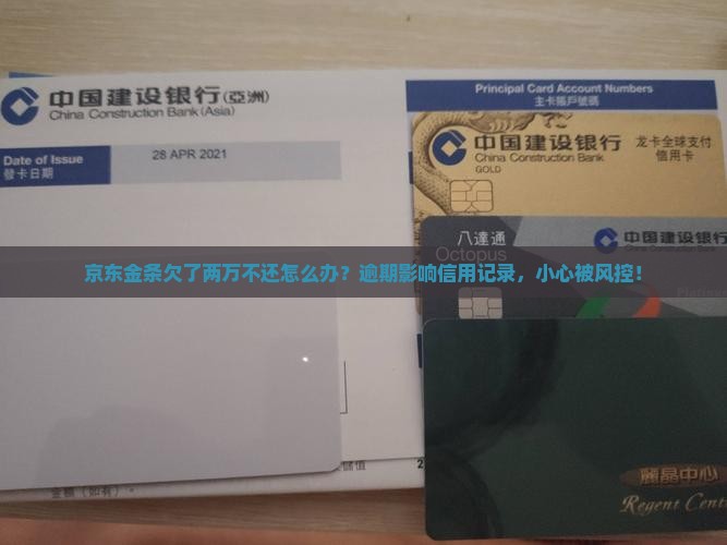 京东金条欠了两万不还怎么办