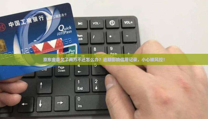 京东金条欠了两万不还怎么办