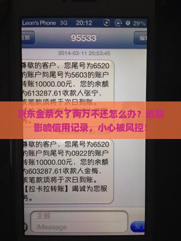 京东金条欠了两万不还怎么办