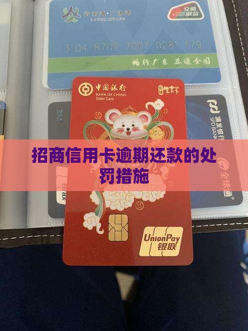 招商信用卡借钱逾期会怎么样处罚