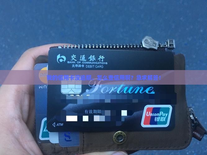 查询信用卡信用没有逾期如何操作