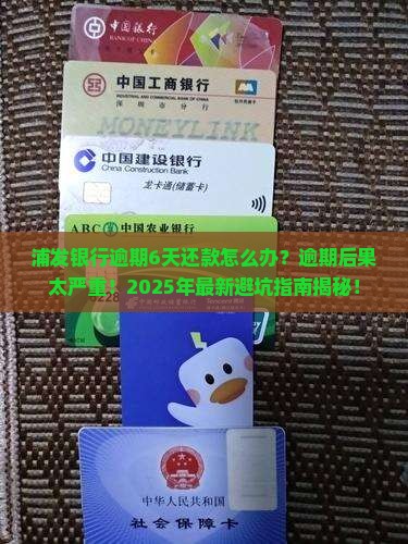 浦发银行逾期6天还款该怎么办