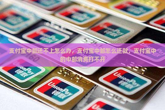 支付宝中邮还不上怎么办