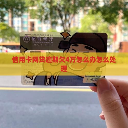 网贷信用卡欠4万怎么办 网贷信用卡欠4万怎么办