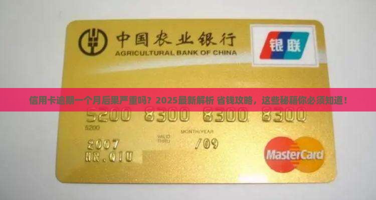 信用卡协商还款逾期一个月后果严重吗