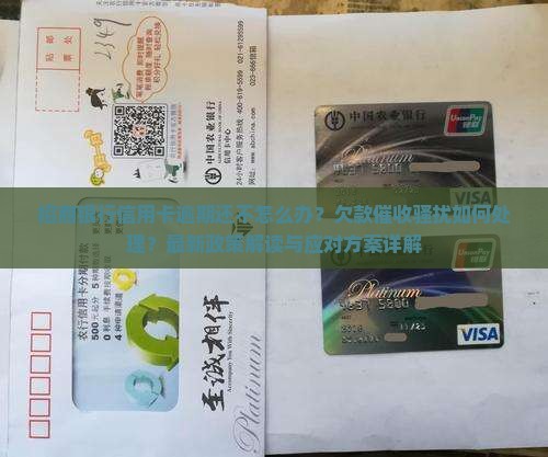 招商银行信用卡催收怎么办