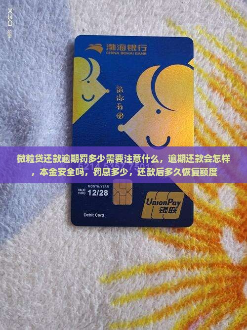 信用卡还款逾期罚多少需要注意什么