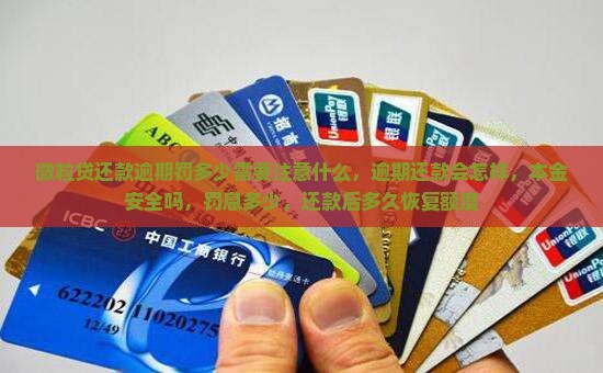 信用卡还款逾期罚多少需要注意什么