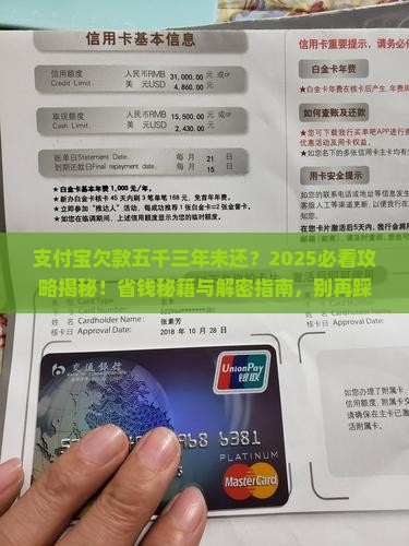 支付宝欠款五千三年未还怎么办