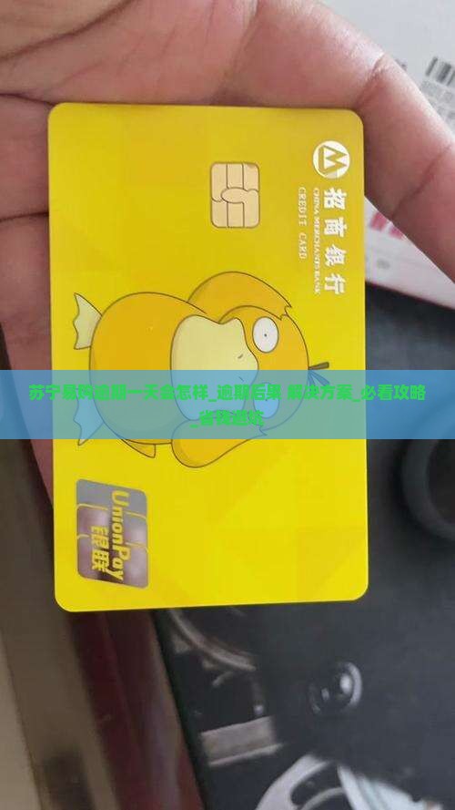 苏宁易购逾期一天会怎样