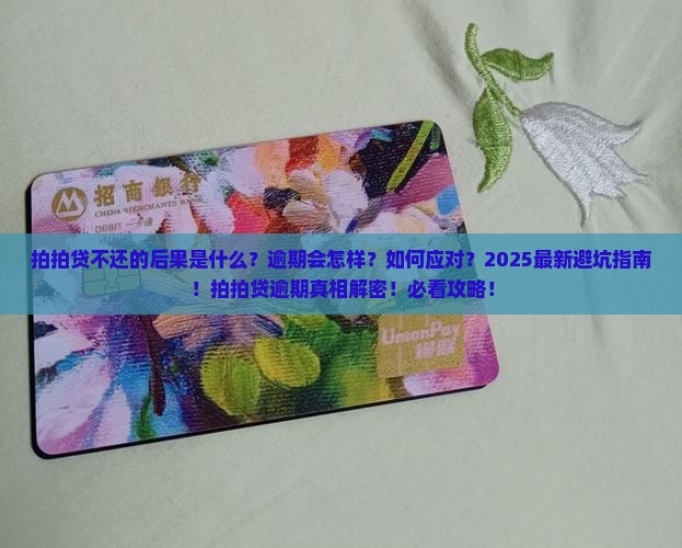拍拍贷不还的后果是什么