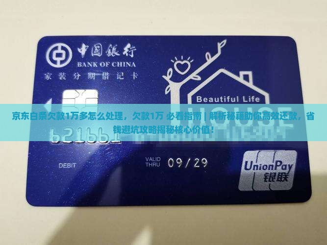 京东白条欠款1万多怎么处理