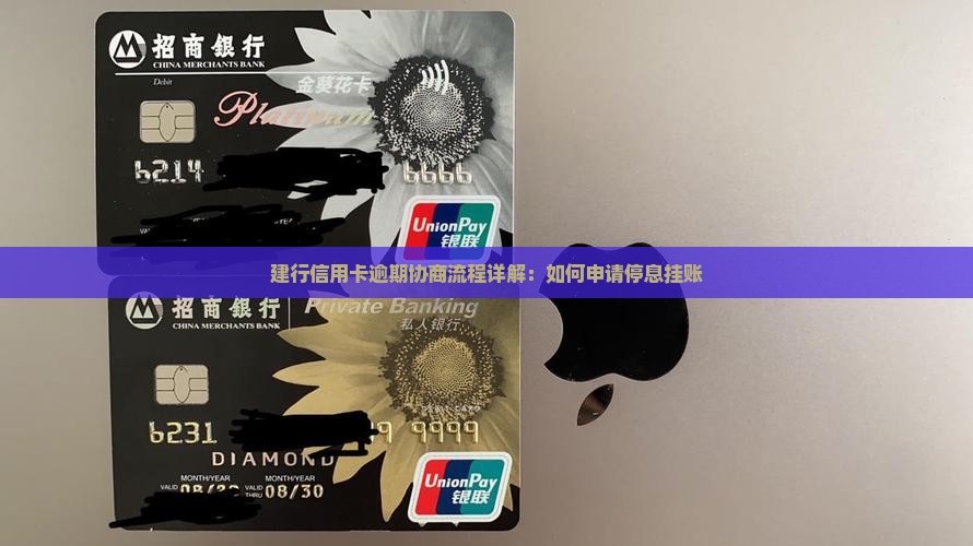 建设银行信用卡逾期协商停息流程详解