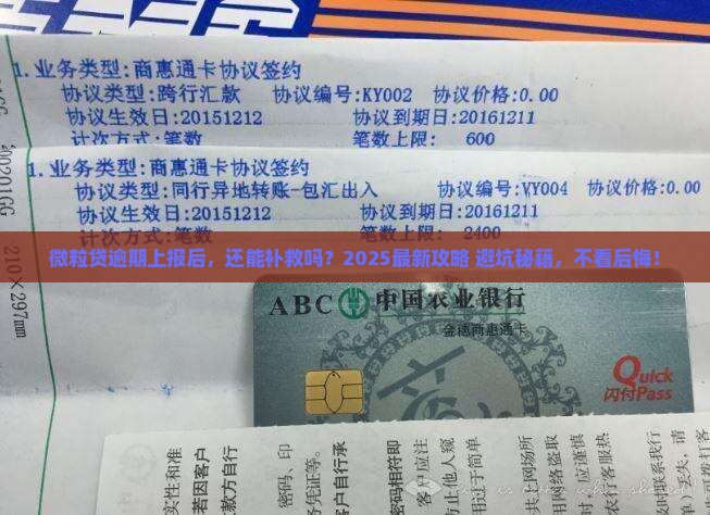 微粒贷逾期上报怎么处理