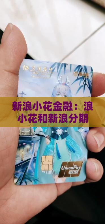浪小花和新浪分期是一家吗