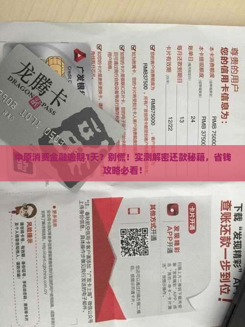 中原消费金融逾期1天怎么还款的方法有哪些
