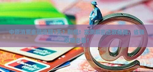 中原消费金融逾期1天怎么还款的方法有哪些