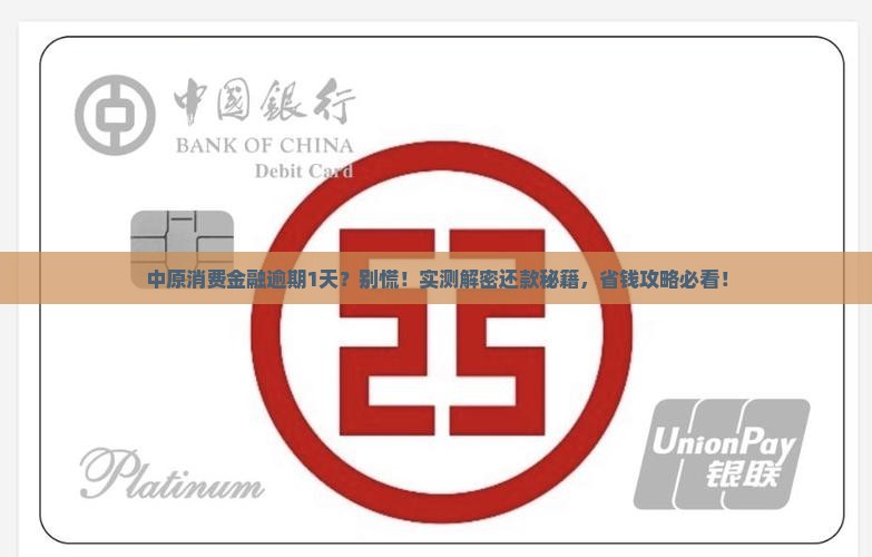 中原消费金融逾期1天怎么还款的方法有哪些