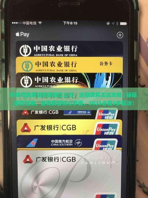 有钱花逾期诉前调解怎么办