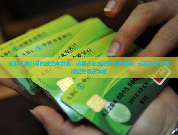 逾期还款有可能减免本金吗