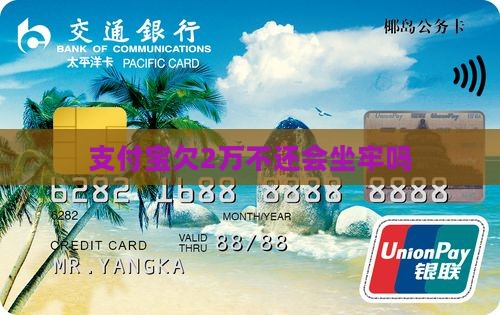 支付宝欠2万不还会坐牢吗