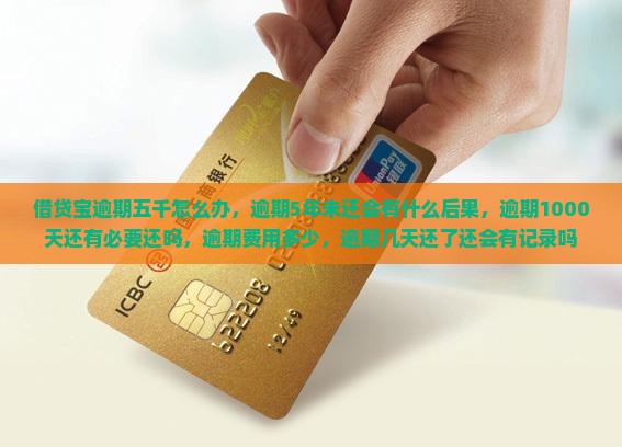 借贷宝逾期五千怎么办