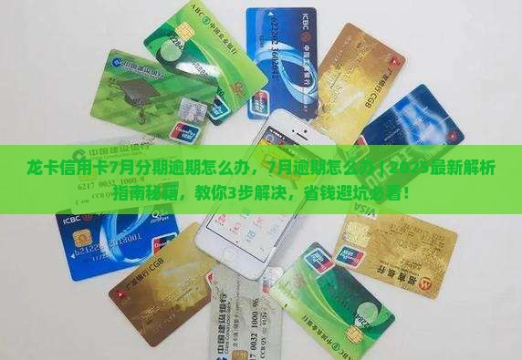 龙卡信用卡7月分期逾期怎么办