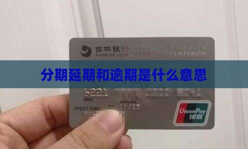 分期延期是什么意思