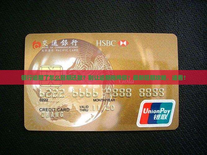 银行逾期了怎么办理延期还款的步骤是什么