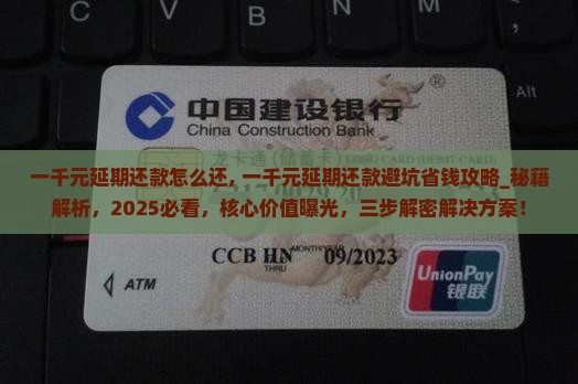 一千元延期还款怎么还