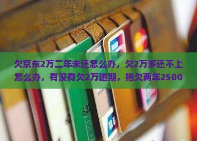 欠京东白条2万二年未还怎么办
