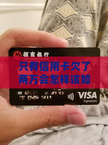 只有信用卡欠了两万会怎样该如何处理