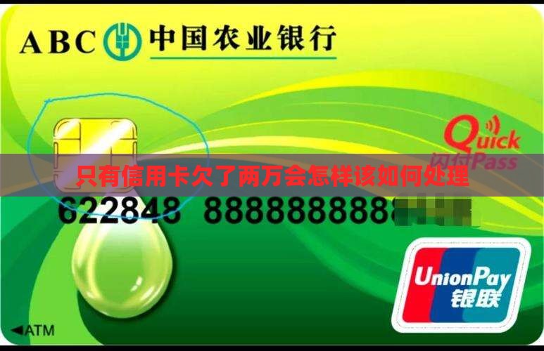 只有信用卡欠了两万会怎样该如何处理