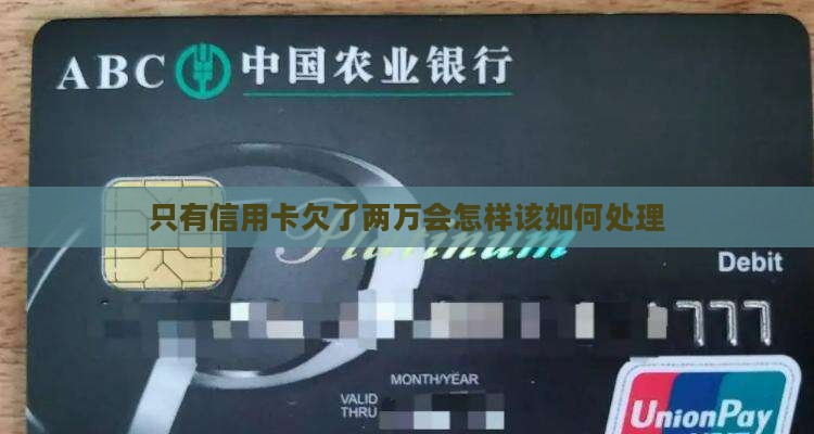 只有信用卡欠了两万会怎样该如何处理