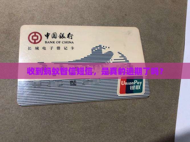 收到蚂蚁智信短信