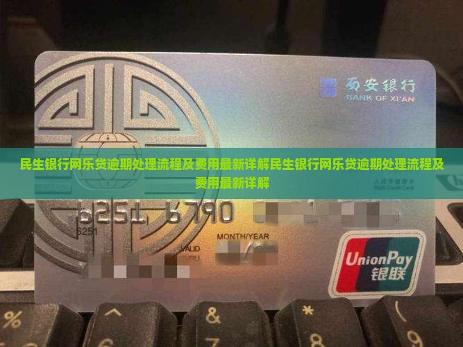 民生银行网乐贷逾期处理流程及费用