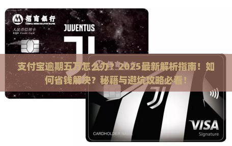 支付宝逾期五万怎么办可以解决的方法