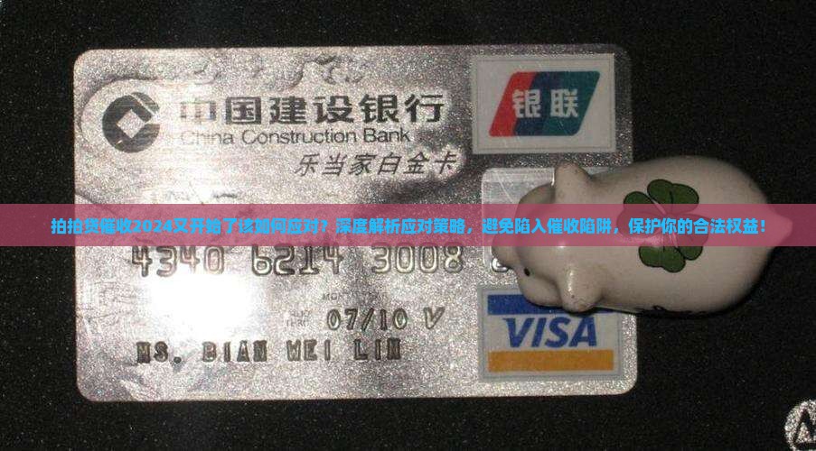 拍拍贷催收2024又开始了该如何应对