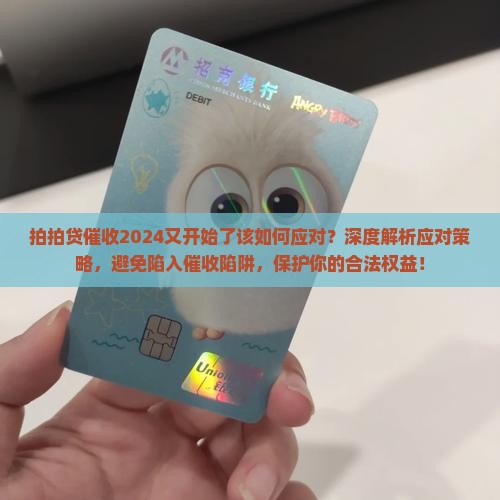 拍拍贷催收2024又开始了该如何应对