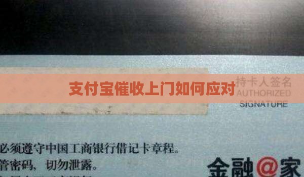 支付宝第三方天天催收上门如何解决