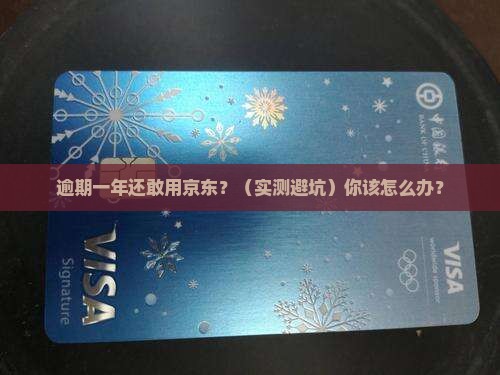 京东白条逾期一年咋办