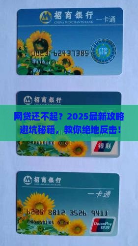 沉迷网贷无力偿还该如何应对