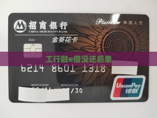 工行融e借没还后果