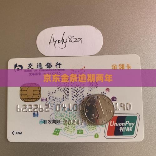 京东白条金条逾期两年