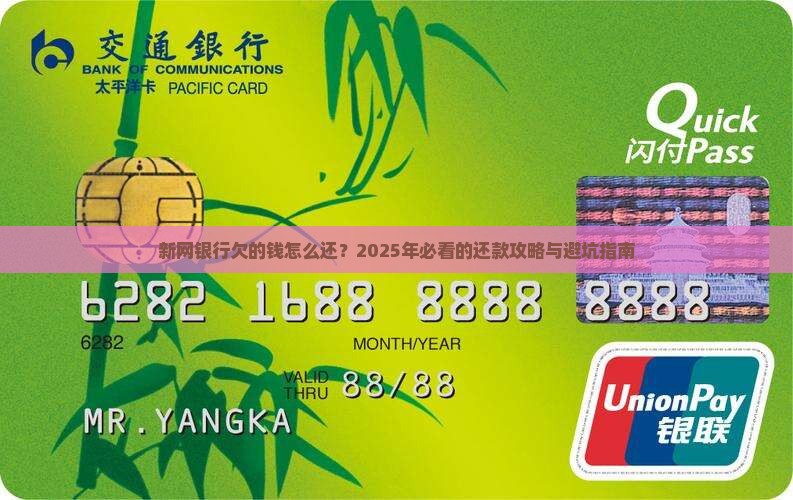 新网银行欠的钱哪里还怎么处理