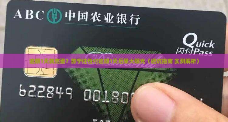 苏宁任性付逾期1天会怎样需要注意什么