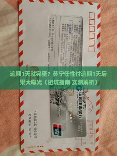 苏宁任性付逾期1天会怎样需要注意什么