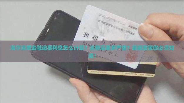 海尔消费金融逾期利息怎么计算