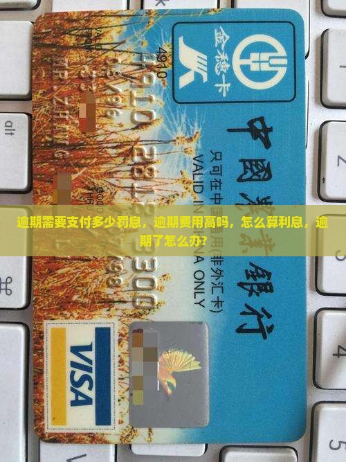 360借条逾期需要支付多少罚息